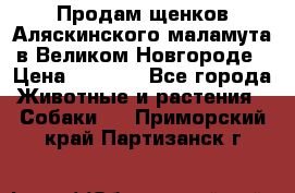 Продам щенков Аляскинского маламута в Великом Новгороде › Цена ­ 5 000 - Все города Животные и растения » Собаки   . Приморский край,Партизанск г.